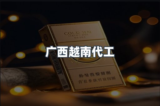 广西越南代工
